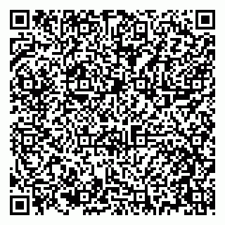 vCard 79021008733