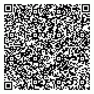 vCard 79021008937
