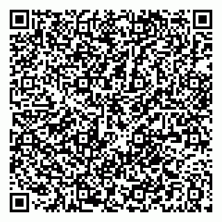 vCard 79021010003