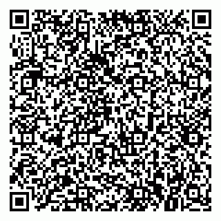 vCard 79021013233