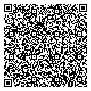 vCard 79021013331
