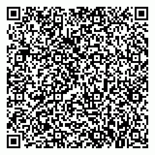 vCard 79021017333