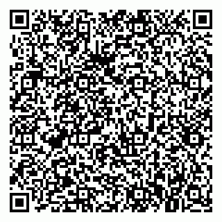 vCard 79021017533
