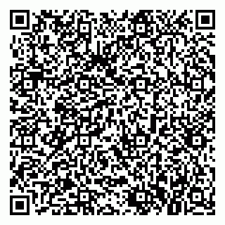 vCard 79021019333