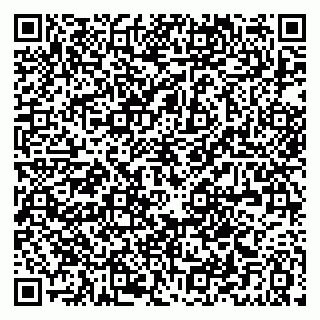 vCard 79021019381