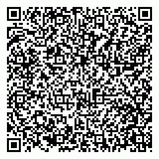 vCard 79021020803