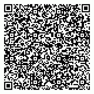 vCard 79021028881