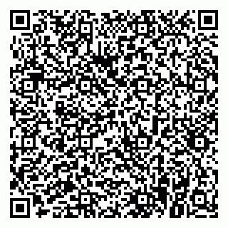 vCard 79021030985