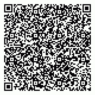 vCard 79021033063