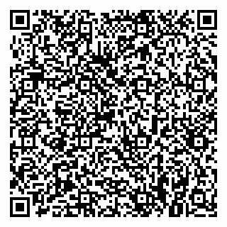 vCard 79021033089
