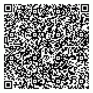 vCard 79021033133