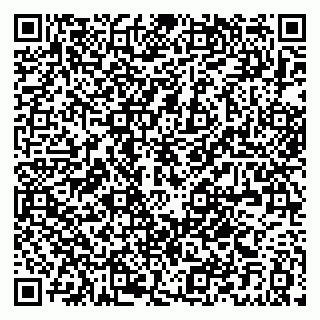 vCard 79021033138