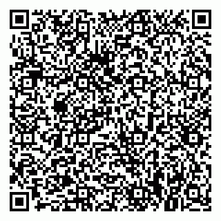 vCard 79021033139
