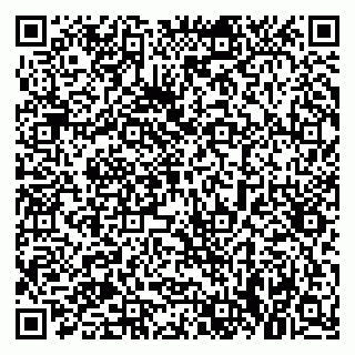 vCard 79021033329