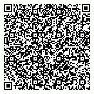 vCard 79021039704