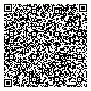 vCard 79021040228