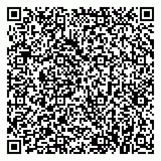 vCard 79021040287