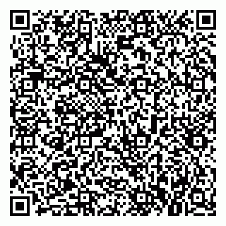 vCard 79021040333