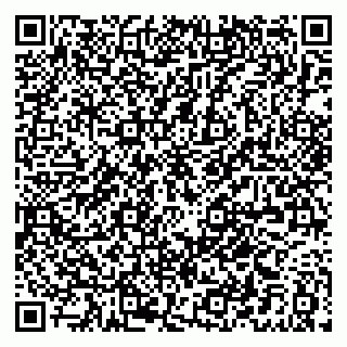 vCard 79021040531