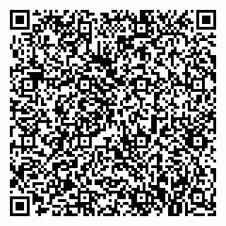 vCard 79021040533