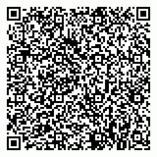 vCard 79021040588