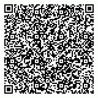 vCard 79021040665