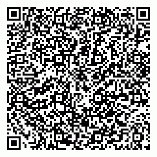 vCard 79021044985