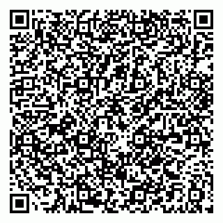 vCard 79021049038