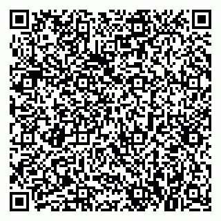 vCard 79021051300