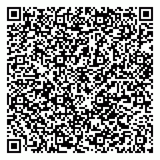 vCard 79021053217