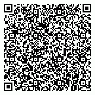vCard 79021065987