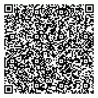 vCard 79021068019