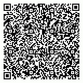 vCard 79021069381