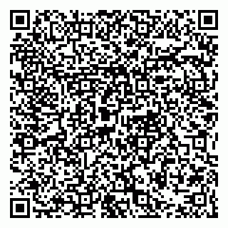 vCard 79021069533