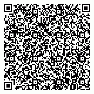 vCard 79021070033