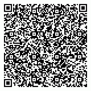 vCard 79021070297