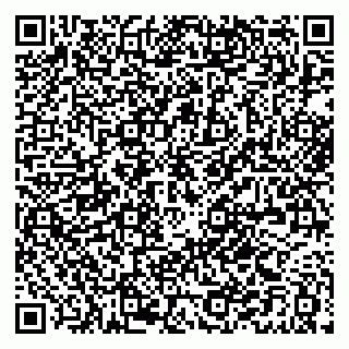 vCard 79021070317