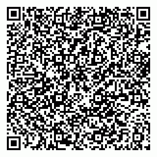vCard 79021070333