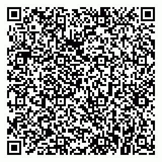 vCard 79021070913