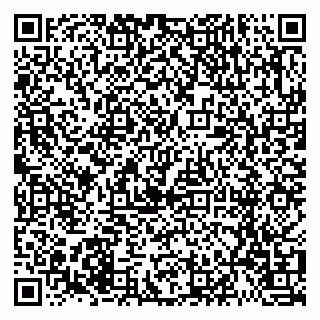 vCard 79021070931