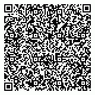 vCard 79021070987
