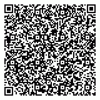 vCard 79021073131