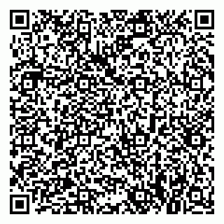 vCard 79021073329