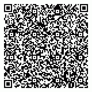 vCard 79021073728