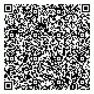 vCard 79021074063
