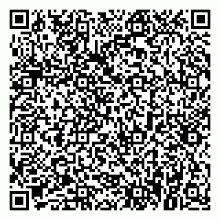 vCard 79021075987