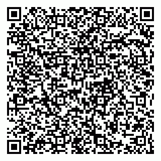 vCard 79021077333