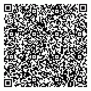 vCard 79021077335