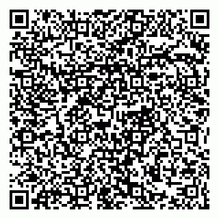 vCard 79021077347