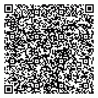 vCard 79021077381